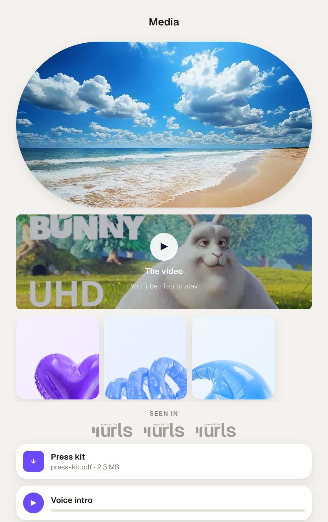 The Media blocks: an image, a video embed, a gallery strip, a logo row, a file download, and a voice intro